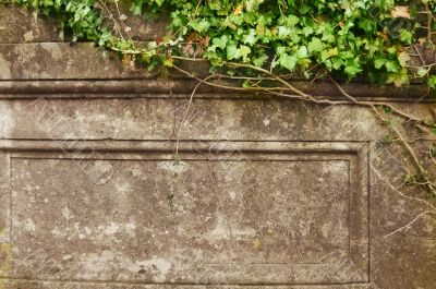Grunge frame. Ivy over old wall Grunge frame. Ivy over old wall
