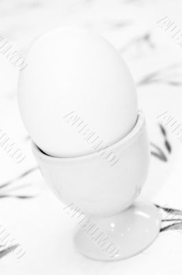 Egg in black and white