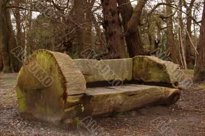 wooden bench in park