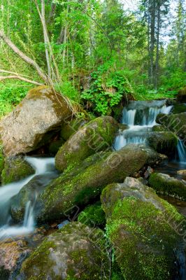 Small falls in a wood. Landscape.