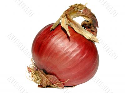 Red onion
