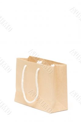 Brown Shopping Bag Isolated