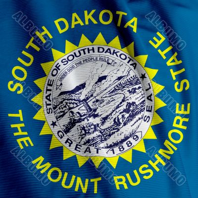 South Dakota Flag Closeup