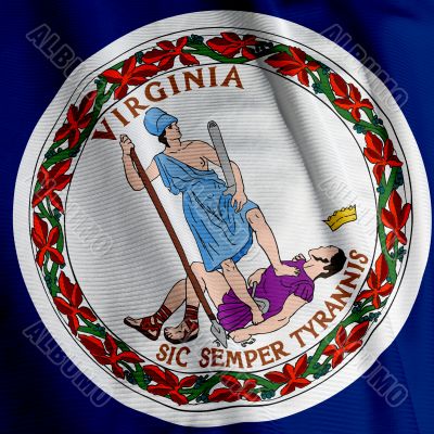 Virginia Flag Closeup