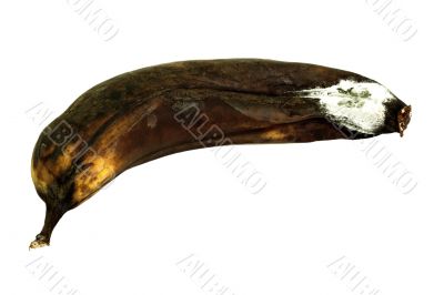 Mouldy Banana
