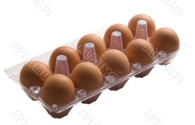 ten eggs