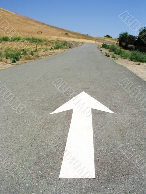 This Way This Way