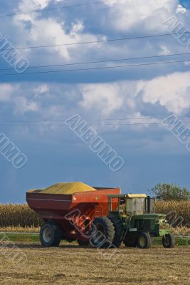 Tractor Carrying Harvest