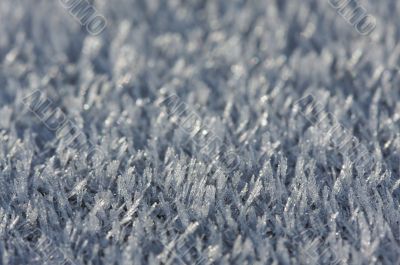 Morning Frost Crystals Morning Frost Crystals