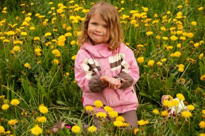 pretty girl, sitting in dandelions