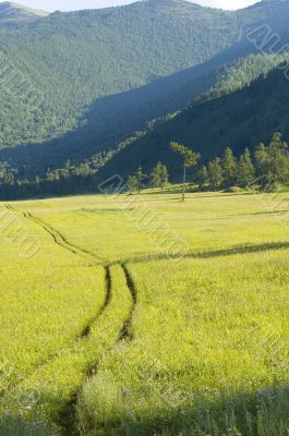 Yellow road in mountains