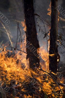nature disaster nature disaster
