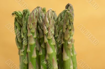 Fresh Organic Asperagus Fresh Organic Asperagus