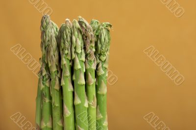 Fresh Organic Asperagus Fresh Organic Asperagus