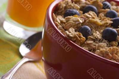 Bowl of Granola and Boysenberries