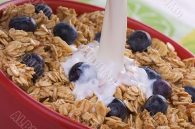 Bowl of Granola and Boysenberries and Milk