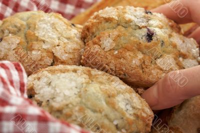 Blueberry Muffins in Basket Blueberry Muffins in Basket