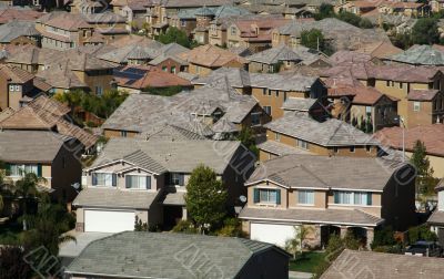 Contemporary Suburban Neighborhood