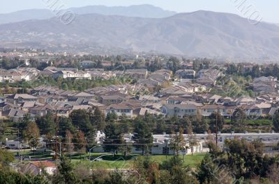 Contemporary Suburban Neighborhood