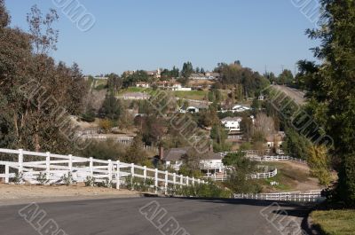 Contemporary Suburban Neighborhood