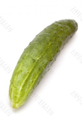 cucumber