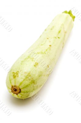 marrow