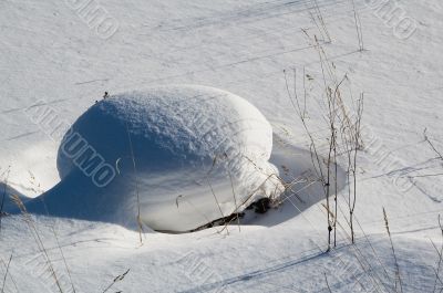 Stub under snow