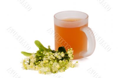 Linden tea cup Linden tea cup