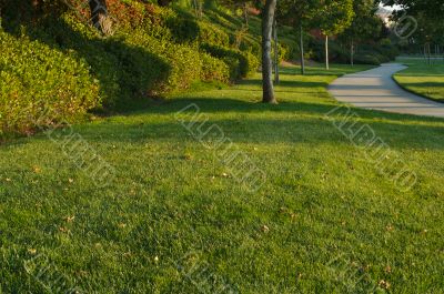 Neighborhood Sidewalk