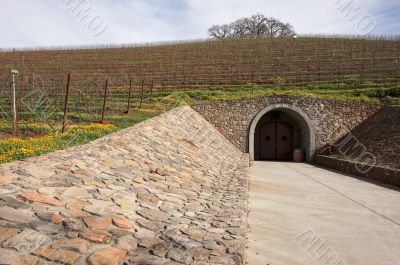 Vineyard Hillside with Cellar Entry and Trees