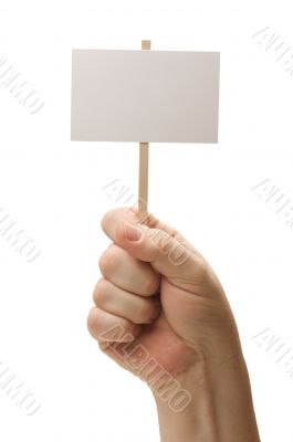 Blank Sign In Fist On White