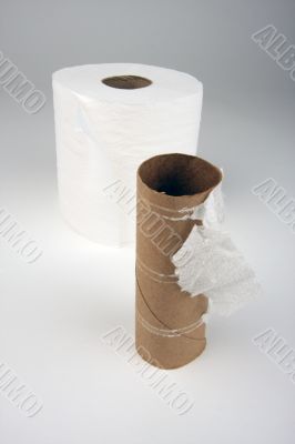 Empty and Full Toilette Paper Rolls
