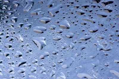 Water Drops on Glass Water Drops on Glass