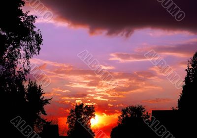 Summer evening.