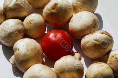 mushrooms with tomato mushrooms with tomato