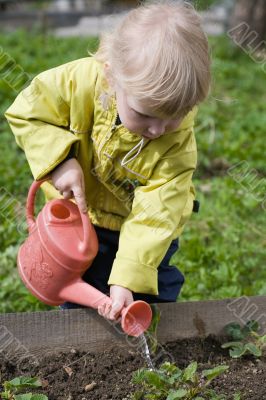 little gardener