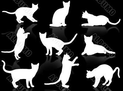 Cats silhouette