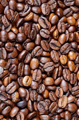 Coffee beans Coffee beans