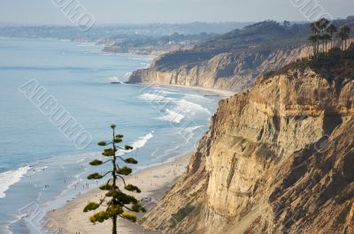 Torrey Pines Beach and Coastline