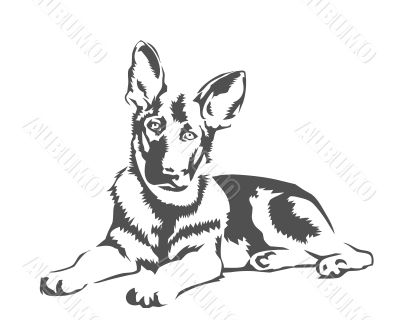 Dog illustration