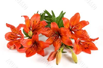 Lily bouquet