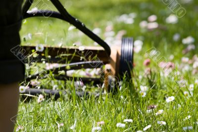 Hand lawn mower