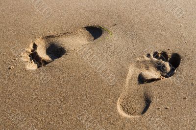 Footprints in sand Footprints in sand