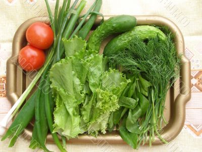 Verdure and vegetables on the tray.