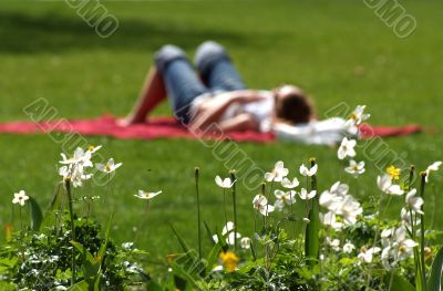 summer, rest, relaxation, picnic, flower