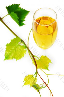 Muscat Muscat