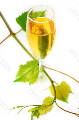 Muscat Muscat