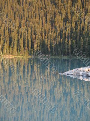 calm lake and forest