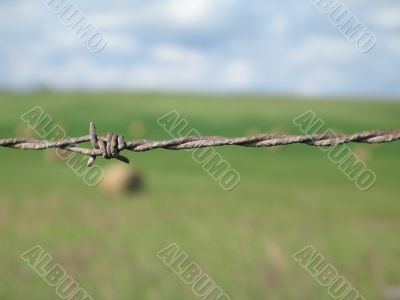 barbed wire fence close-up