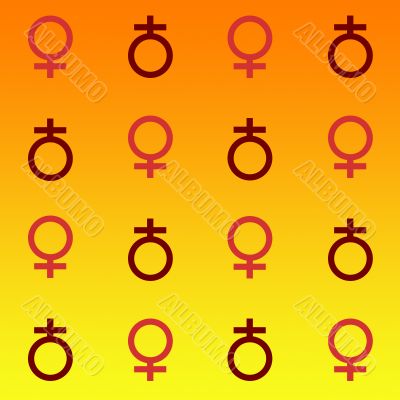 Warm Women Warm Women
